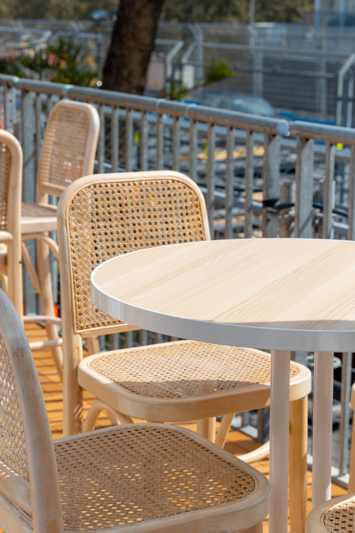 insitu bondi oak