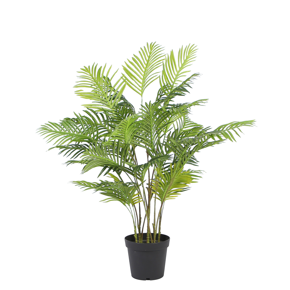 areca-palm-floor-plant-1.3m