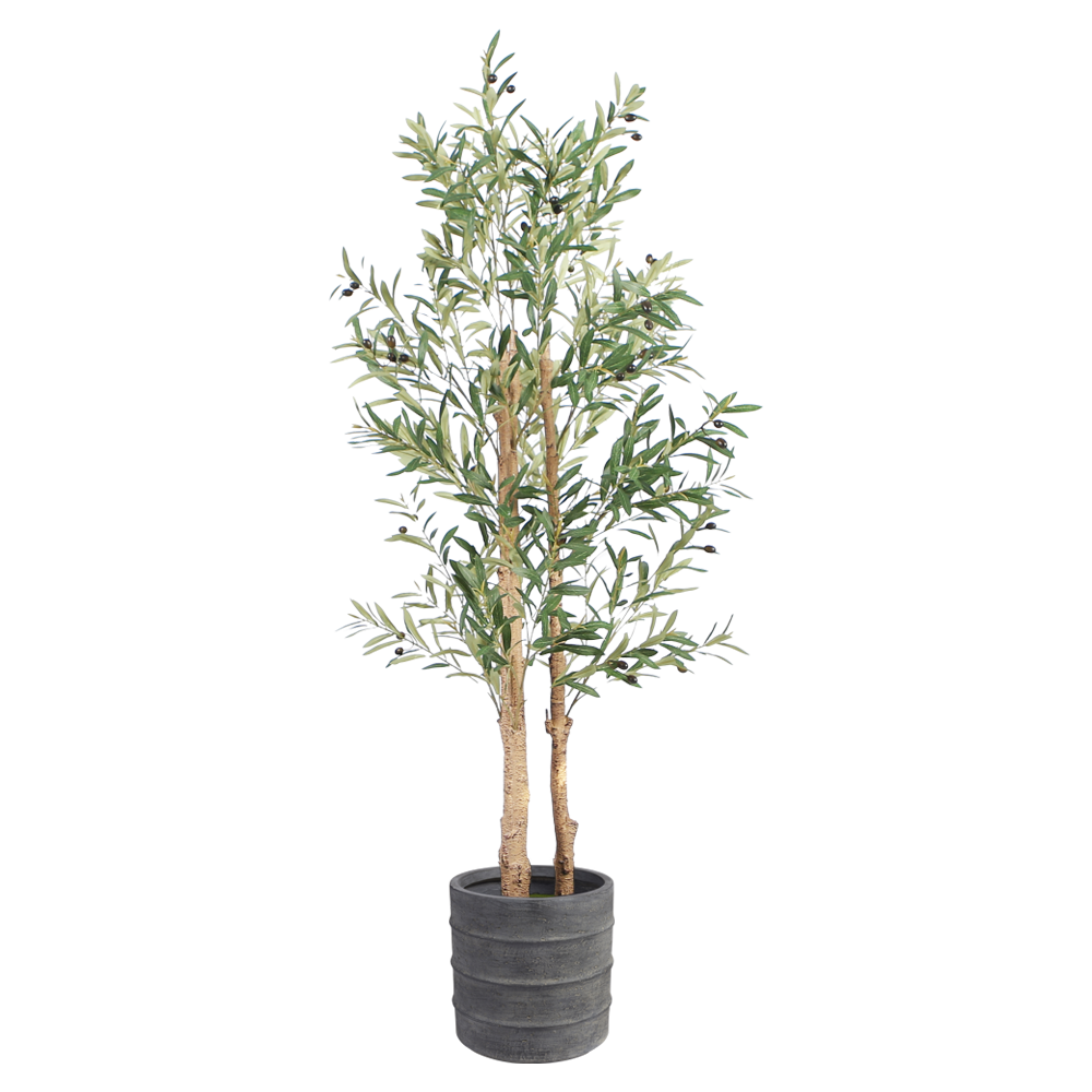 olive-tree-floor-plant-1.6m